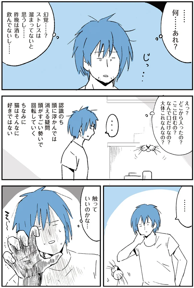 ある日突然、部屋に浮かんでいた「不思議なモノ」。触ろうとしたら...えええ／動物たちが残した25個の不思議なメッセージ 14555442.webp