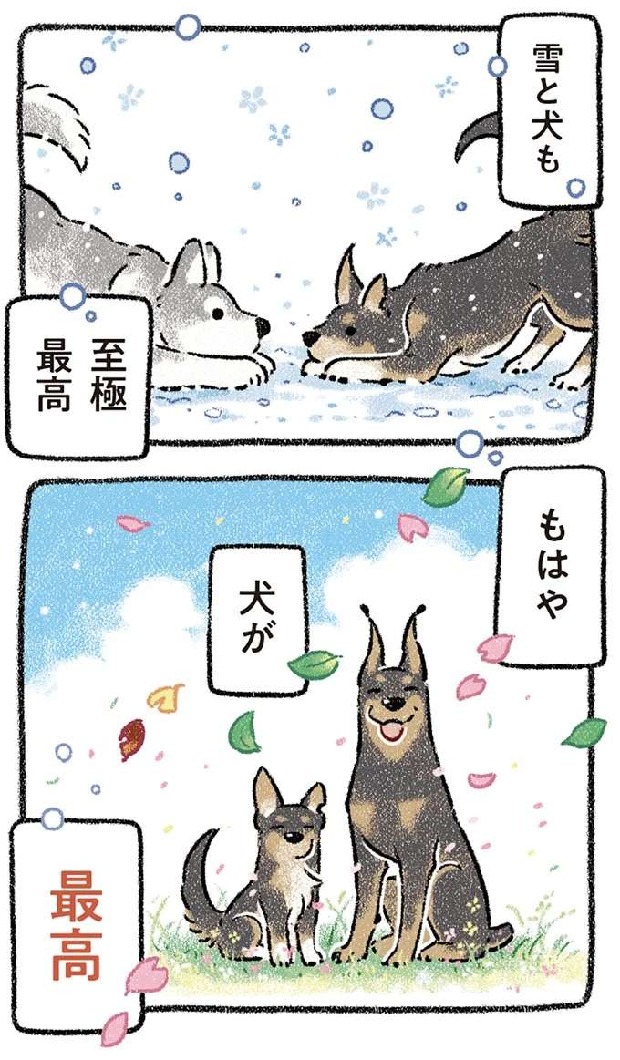 晴れの日でも雨の日でも、どこへ行っても...愛犬と一緒ならいつも最高！／ドベとノラ2 dobetonora17_4.jpeg