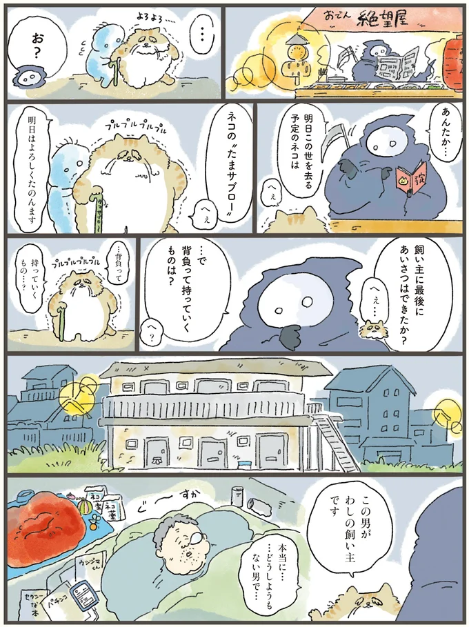 飼い主の不幸を背負っていける!? この世を去る予定のネコが選んだのは...／天国での暮らしはどうですか 01-01.png