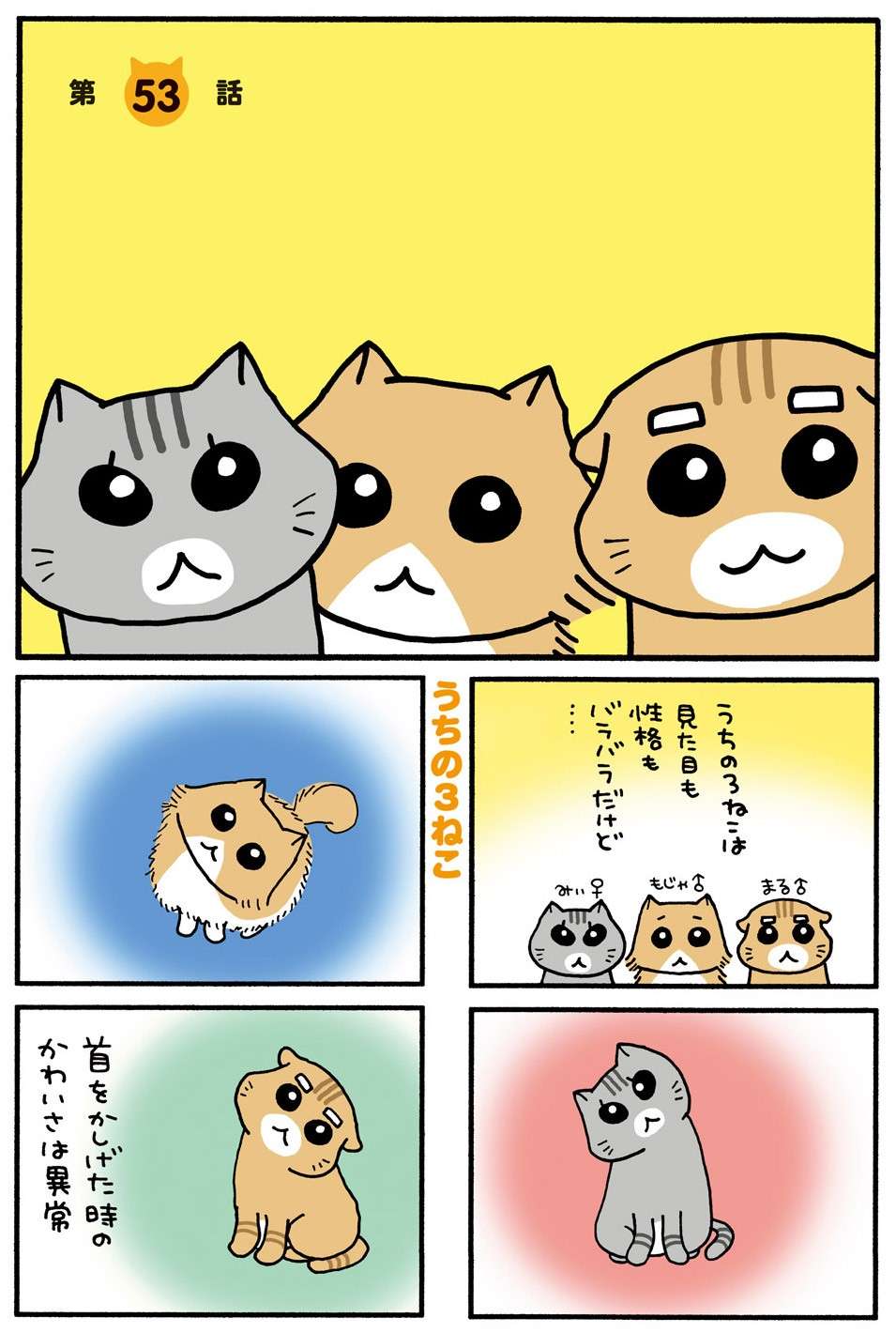 「にゃーにゃー」仕事中、ずっと横で鳴き続ける愛猫。当然、こうなりますね／うちの3ねこ 3 uchinosanneko3_029.jpg