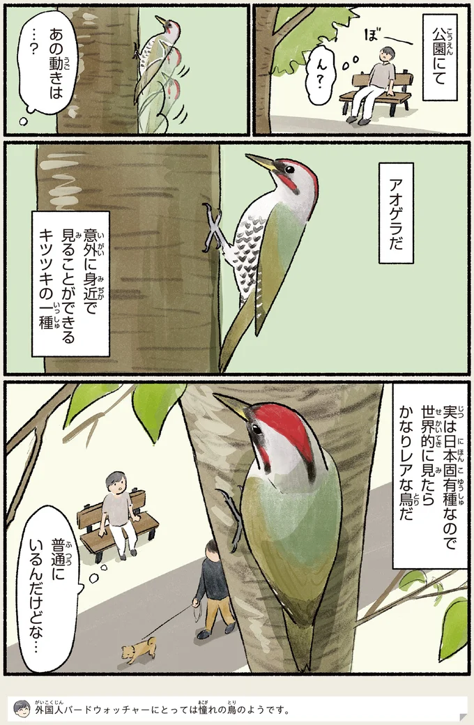 『意外と知らない鳥の生活 1〜2』 401.webp