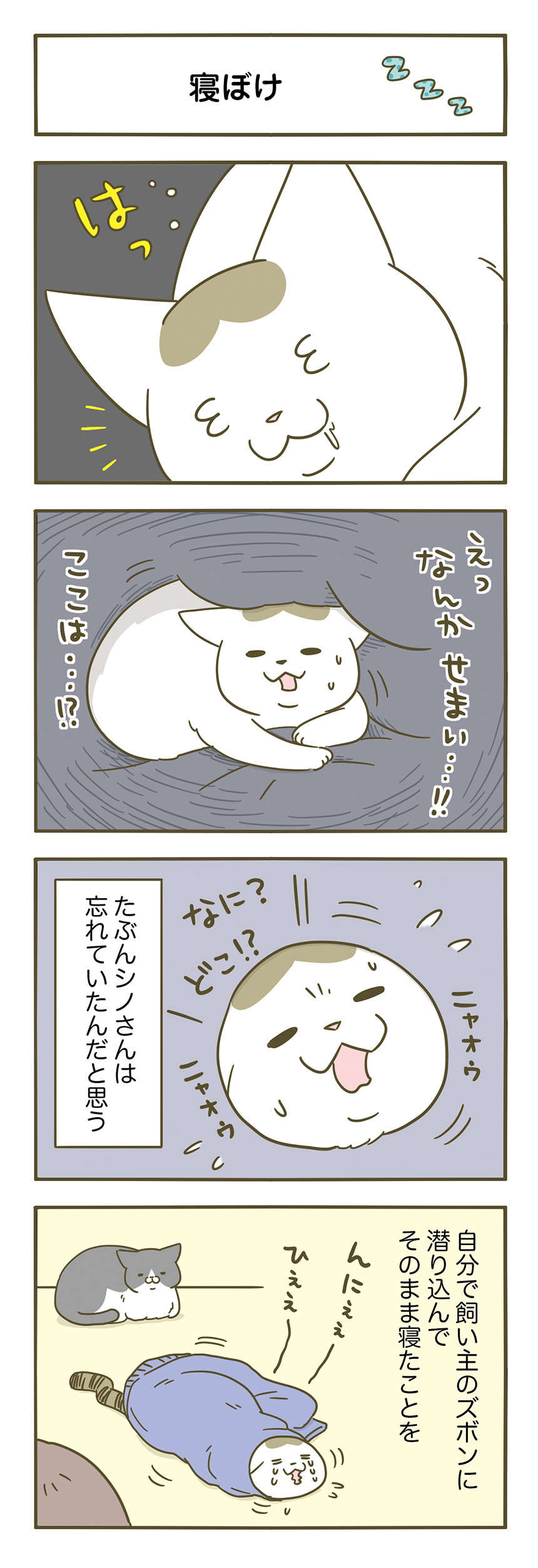 「えっ、ここは...!?」寝ぼけて焦る猫の愛しさたるや...！／うちの猫がまた変なことしてる。3 1.jpg