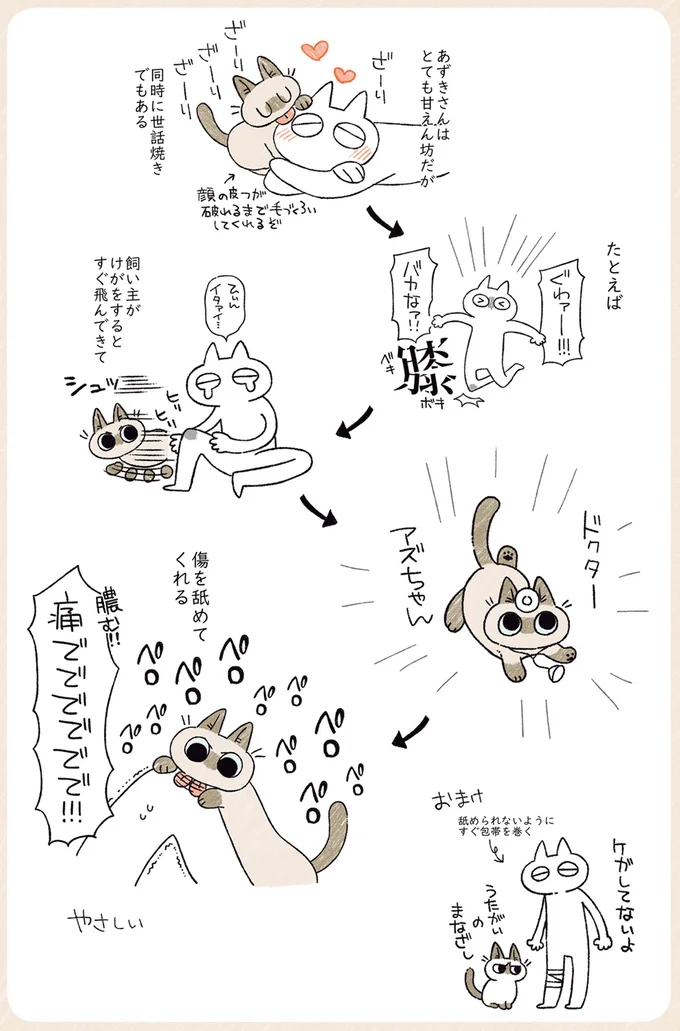 甘えん坊だけど世話焼きな愛猫。飼い主がケガをすると飛んできて...／シャム猫あずきさんは世界の中心 12-01.png