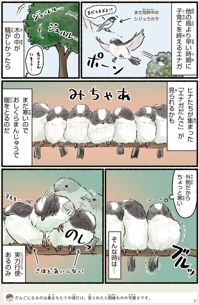 『意外と知らない鳥の生活 1〜2』 412.webp