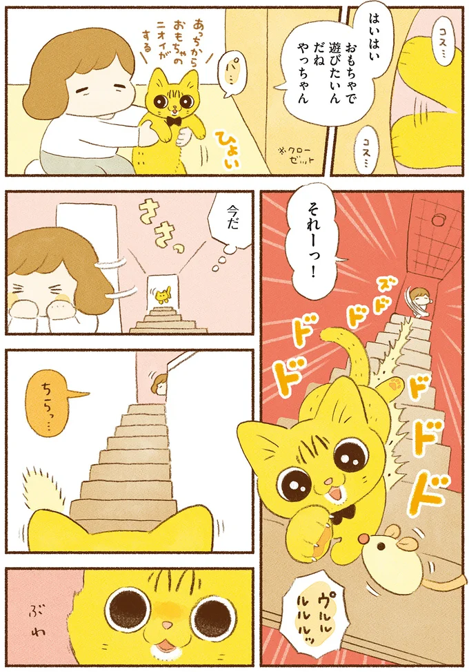 『しまねこ3姉妹と暮らしています　深まるきずな編』 13539116.webp