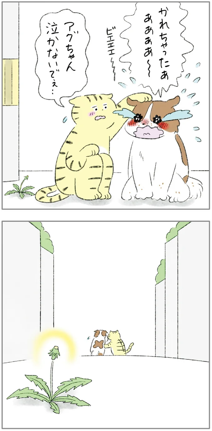 『ターとアグのしあわせ日和 元ノラ猫と元保護犬、ふたりは親友』 02-10.png