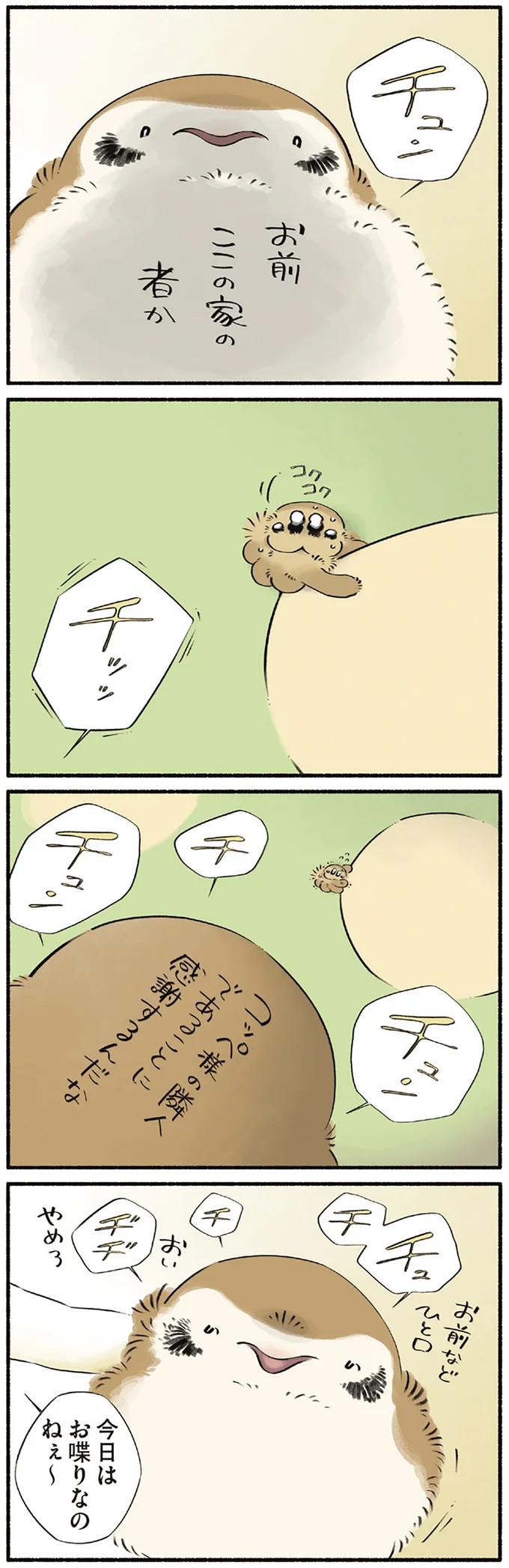 何にもない日...なのに、恐竜たちがいるだけでこんなにも愛おしい！／恐竜はじめました４ 15551248.webp