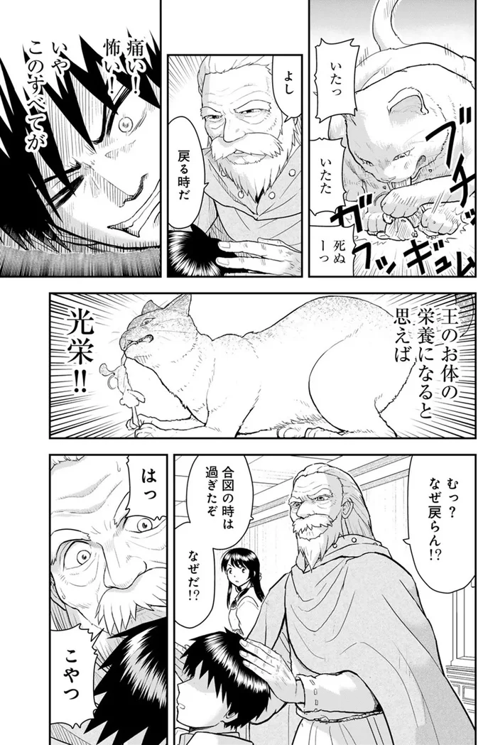 さっそく猫パンチ！ 猫になった王は魔法で動く「ネズミ」に大興奮／王が猫になった 15751184.webp