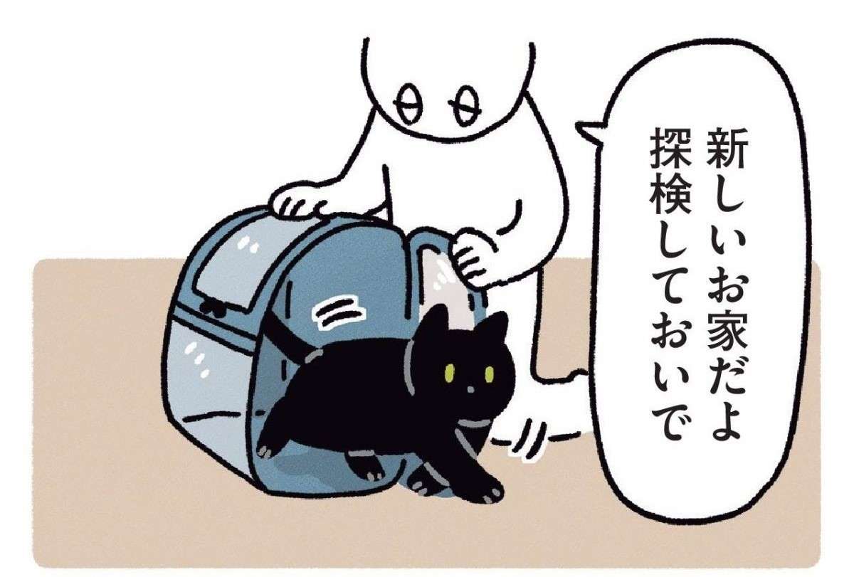 猫は思い通りにならない。引っ越し先でキャットタワーを新調したが／黒猫ろんと暮らしたら