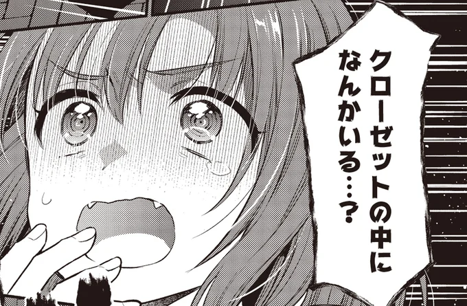 一人暮らしのクローゼットから「ドン！」この音、いったい何⁉／或いは、私の名探偵 1