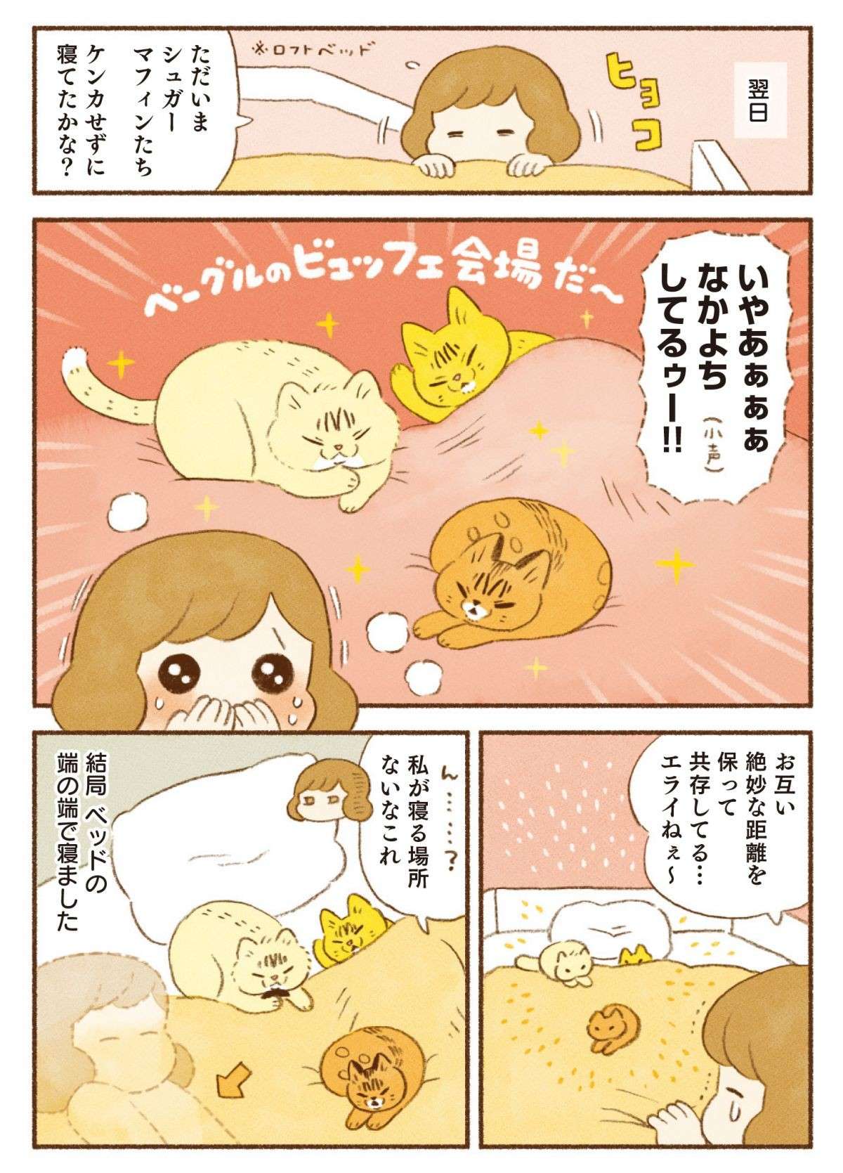 飼い主はベッドの端。3匹の猫が優先だけど可愛すぎるのでよし！／しまねこ3姉妹と暮らしています 13.jpg