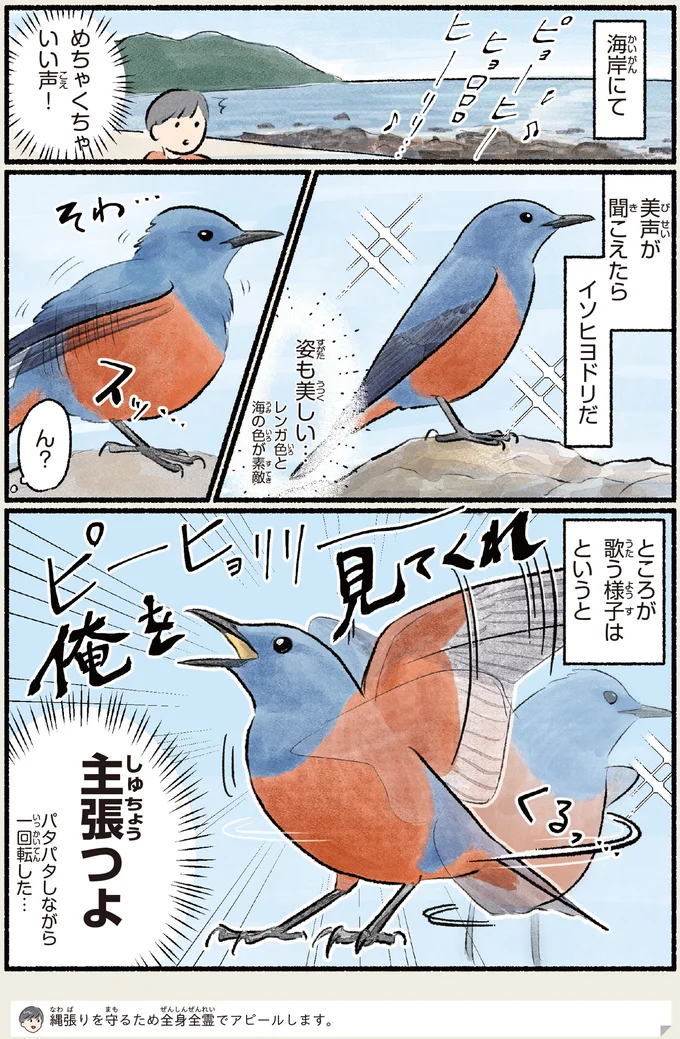 『意外と知らない鳥の生活 1〜2』 431.webp