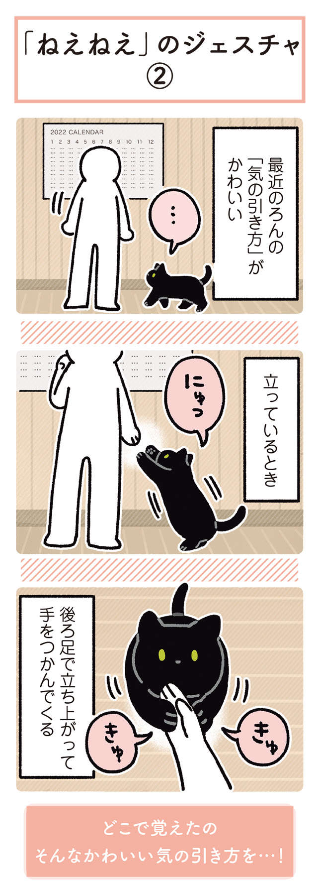 「どこで覚えたの」うちの猫の気の引き方がかわいすぎて...たまらない！／黒猫ろんと暮らしたら 12.jpg