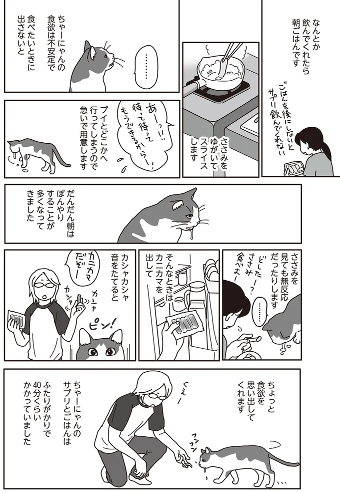 ガンに罹患した愛猫の看病。少しでも快適になるよう飼い主は懸命に...／世界一幸せな飼い主にしてくれた猫 16-02.png