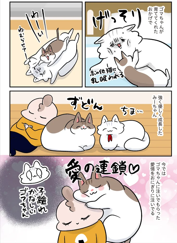 『マジレス幼児とモンペ猫 口達者な娘と過保護すぎる猫たちとの日常』 73.webp