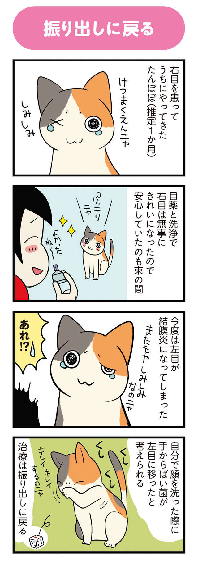 ボロボロだった子猫が回復。ヘトヘトになったけど嬉しかったのは...ウワサのコレ！／うちう猫と柴犬 13.jpg