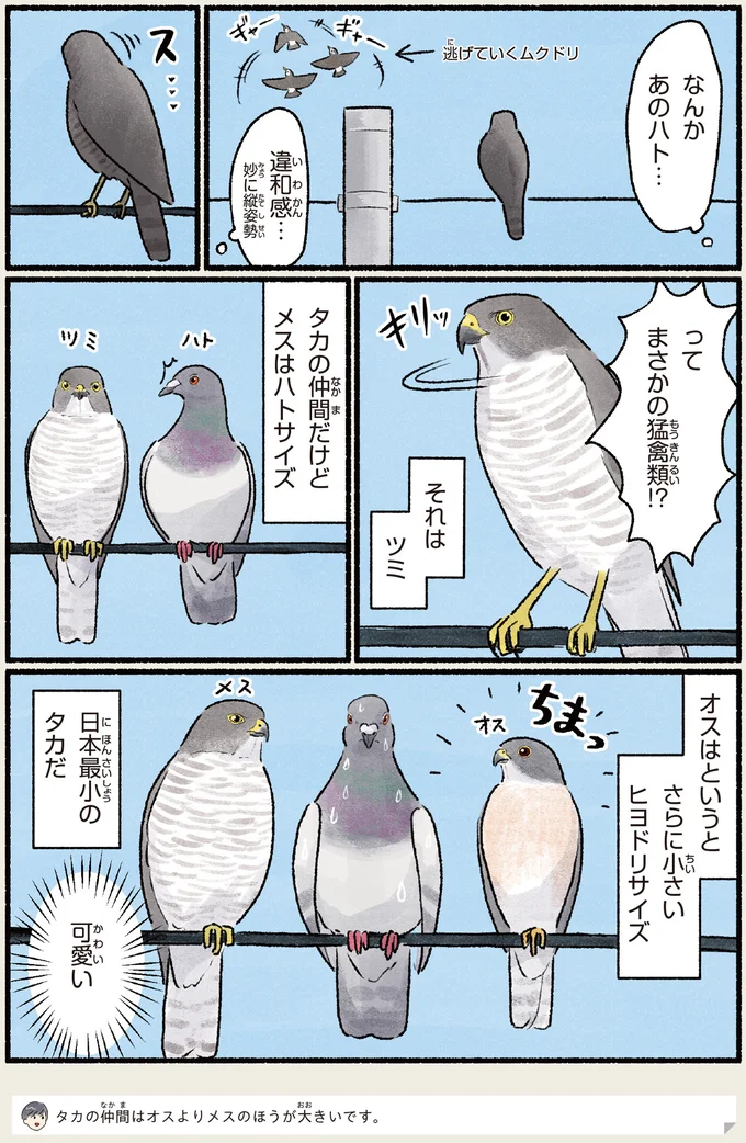 『意外と知らない鳥の生活 1〜2』 441.webp