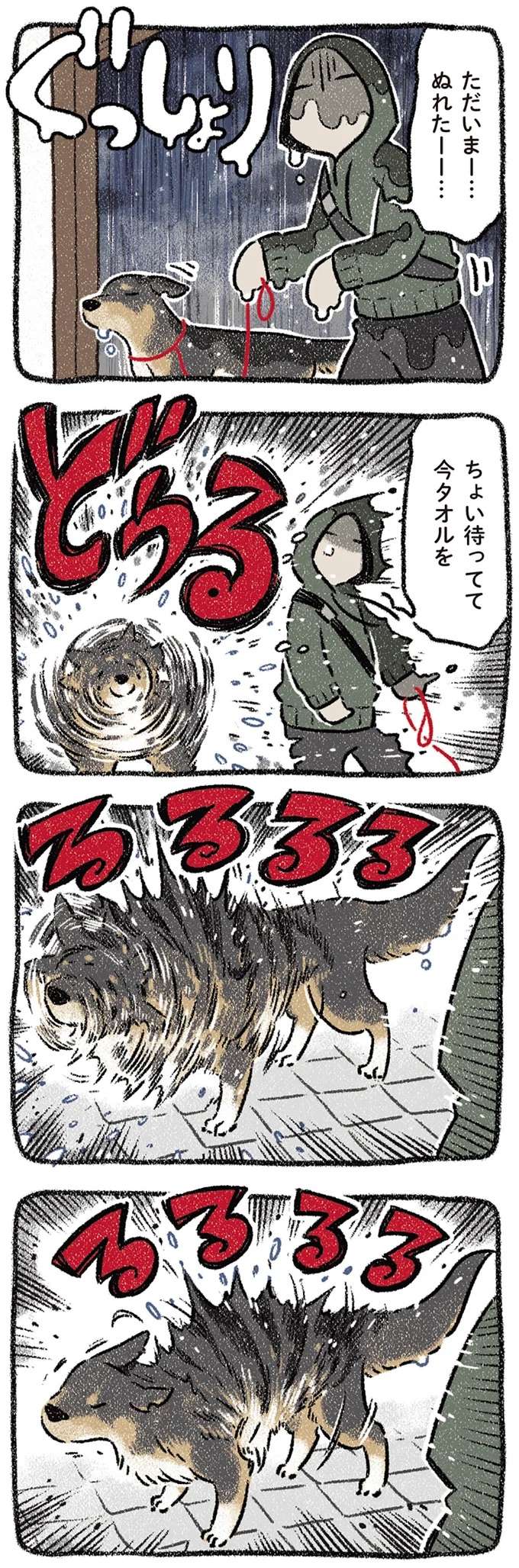 どうしようもなく落ち込んだ日。でも犬がいてくれたら...こうなる／ドベとノラ2 dobetonora13_3.jpeg