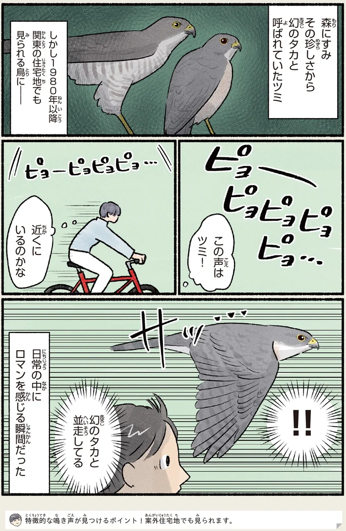 『意外と知らない鳥の生活 1〜2』 442.webp