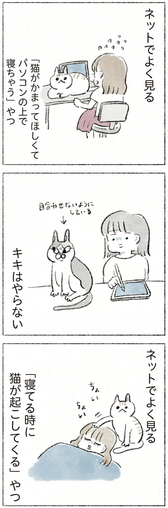 『うちの猫は今日も塩対応』 73.webp