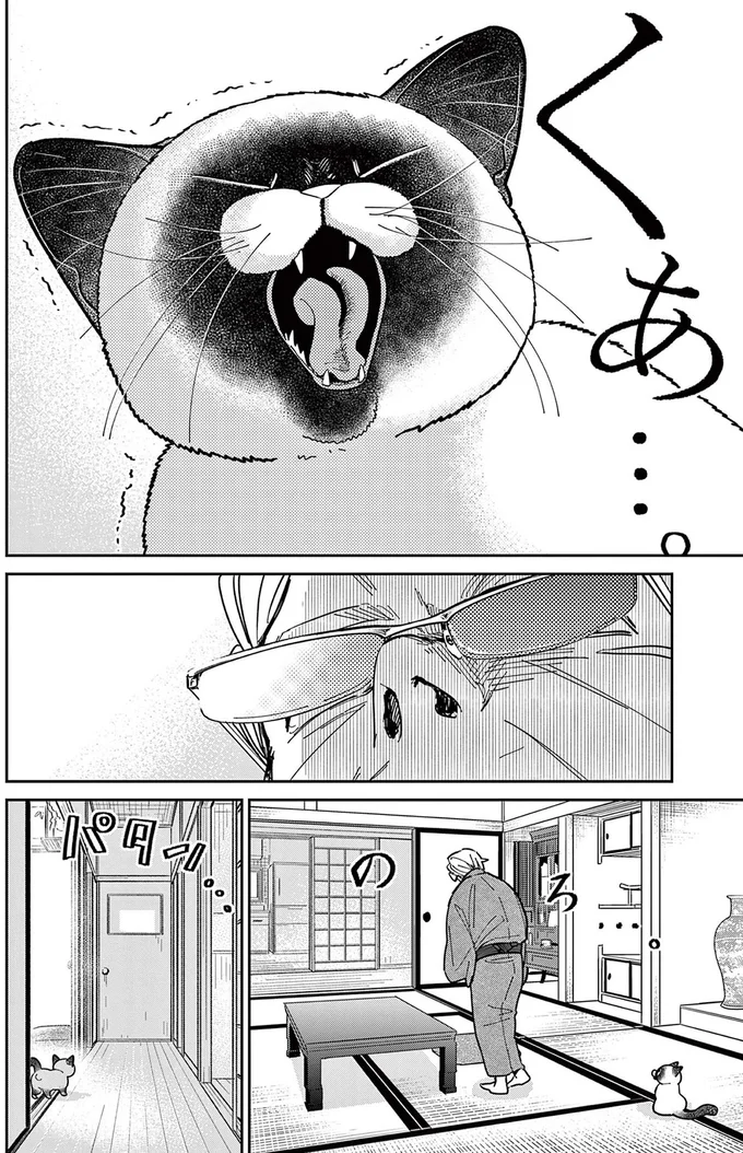 野良猫の鳴き声を聞いてみたい！ あの手この手と仕掛けるものの...／オヤジとにゃん吉 16214539.webp