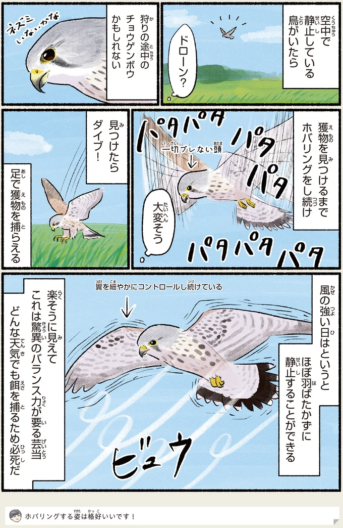 『意外と知らない鳥の生活 1〜2』 451.webp