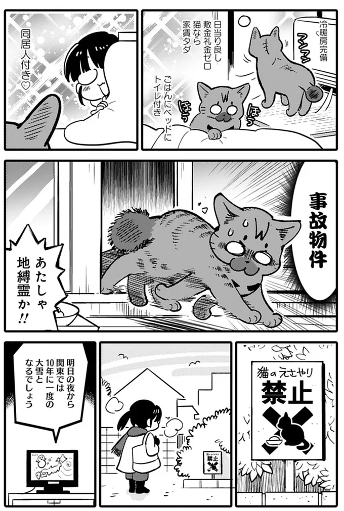 ベランダに居付いた猫を雪から守る！ 暖かい寝床を用意した結果は／ブリちゃん日記 15791619.webp
