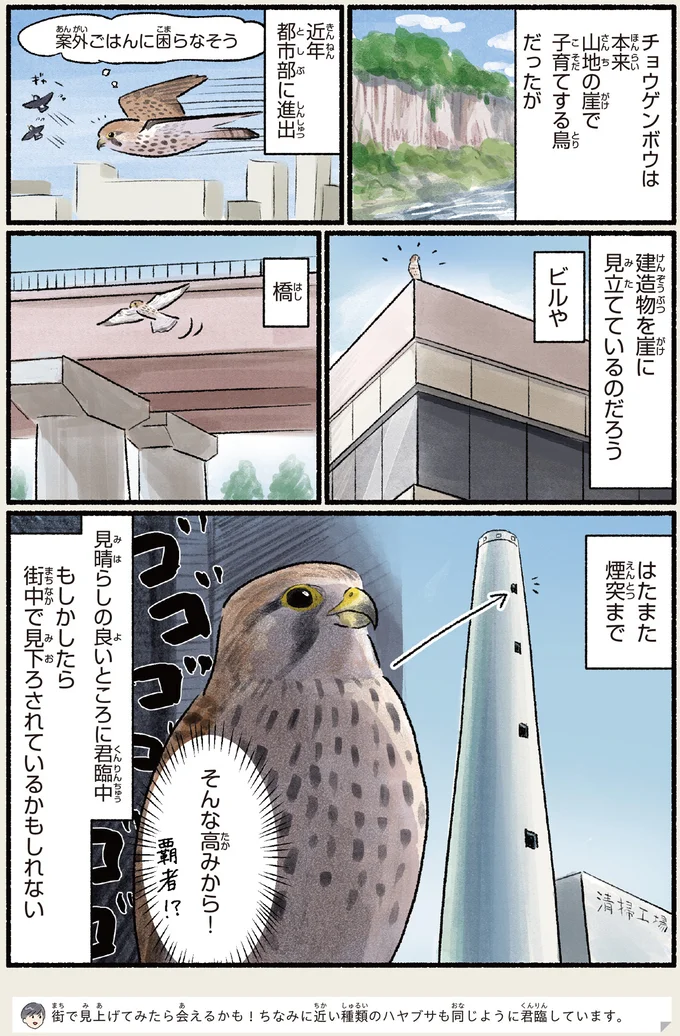 『意外と知らない鳥の生活 1〜2』 452.webp