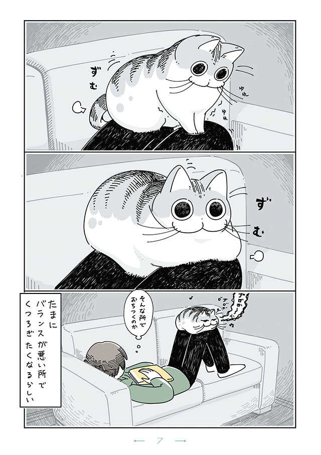 「そんなところで落ちつくのか...？」不安定なところでくつろぐ愛猫／夜は猫といっしょ3 yoruhanekoto3_07.jpg