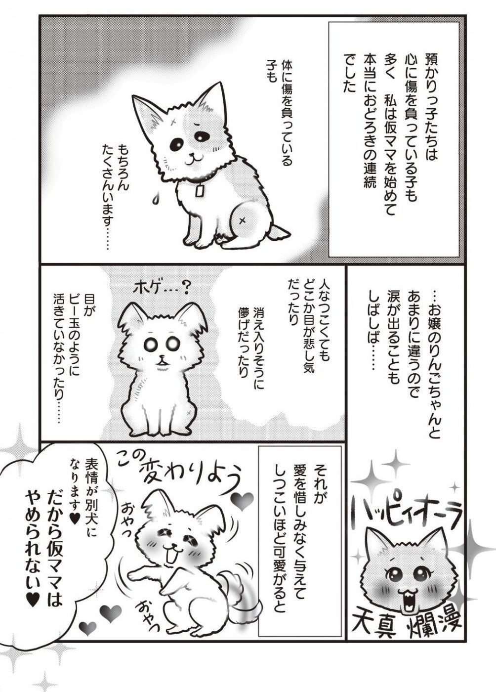 涙がでることもしばしば...保護犬の「仮ママ」ボランティアとは／イヌバカ！ イヌバカ4-10.jpg