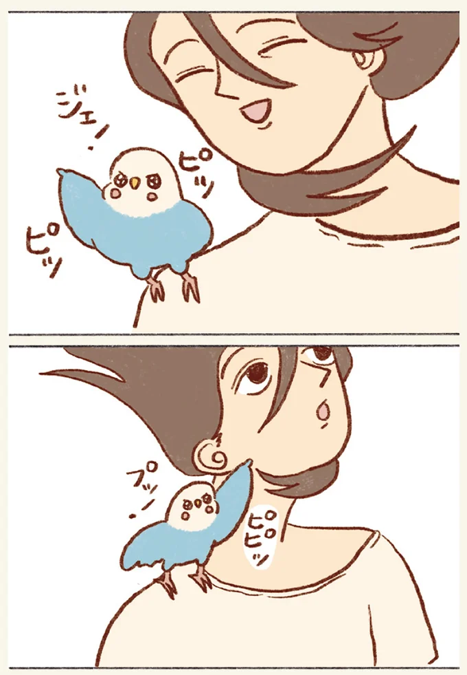 『プジェ日記！ 幸せを運ぶインコのみっちゃん』 23.webp