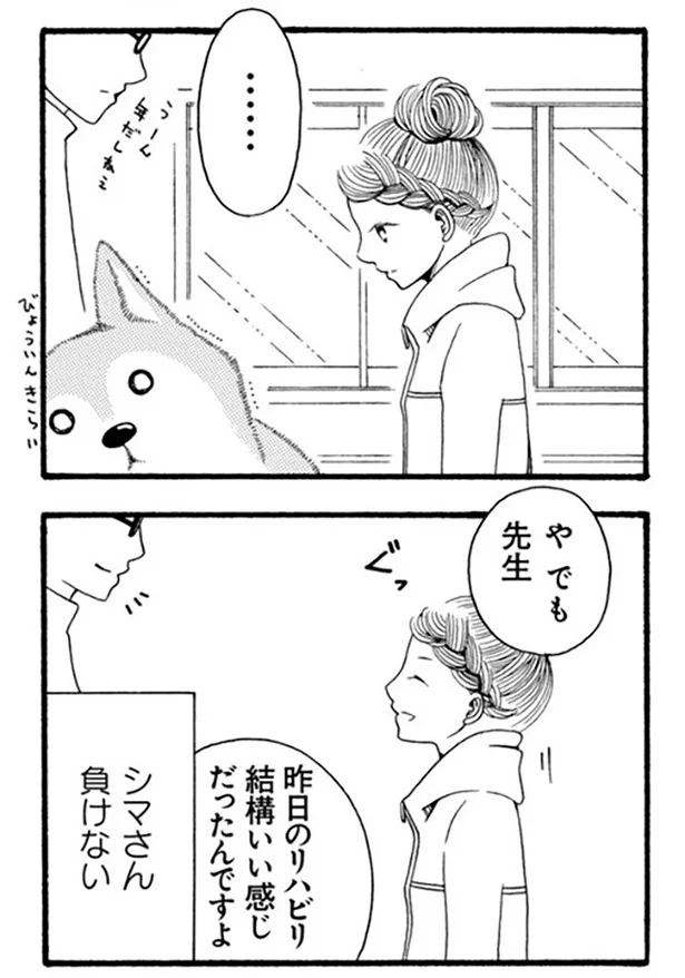 『96歳の柴犬ハチさんは、今日もお散歩しています。』 42.webp