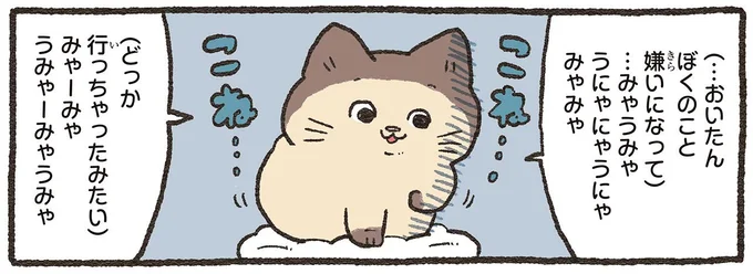 飼い主に嫌われたと泣く猫さん。言葉がわかるねこおじがアドバイスを／ねこに転生したおじさん 6