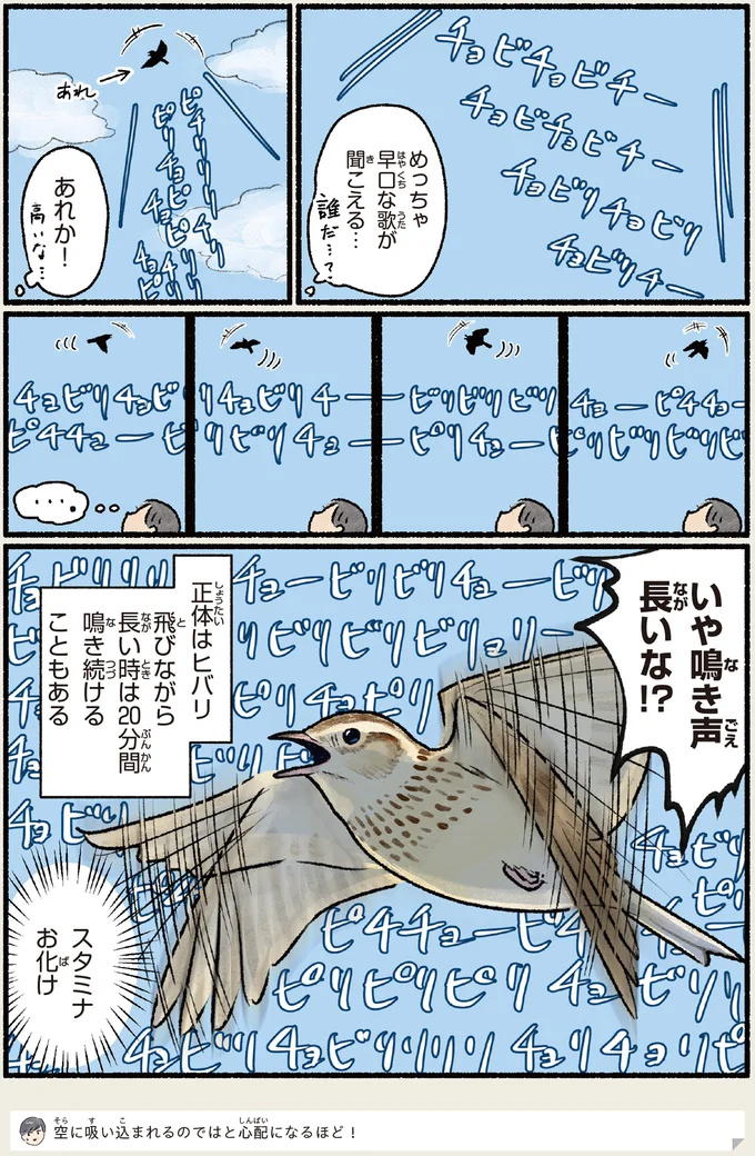 『意外と知らない鳥の生活 1〜2』 461.webp