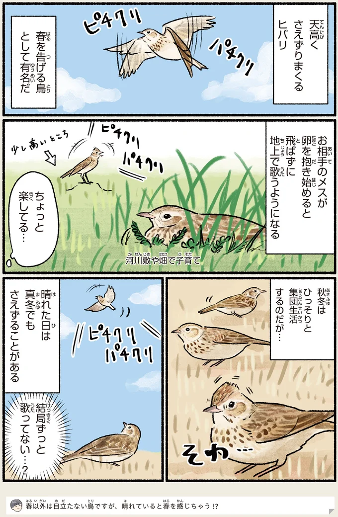 『意外と知らない鳥の生活 1〜2』 462.webp