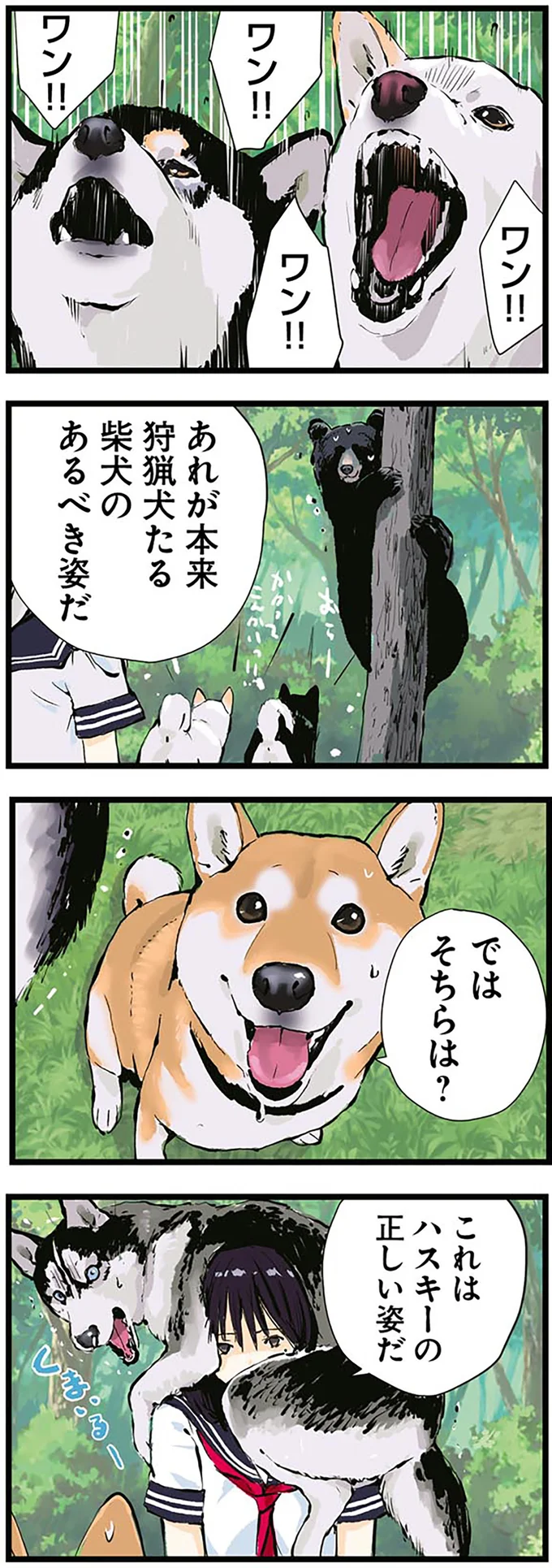 「柴犬の本来あるべき姿」とは。ハスキーの場合は...あれ？ ／世界の終わりに柴犬と 4.png