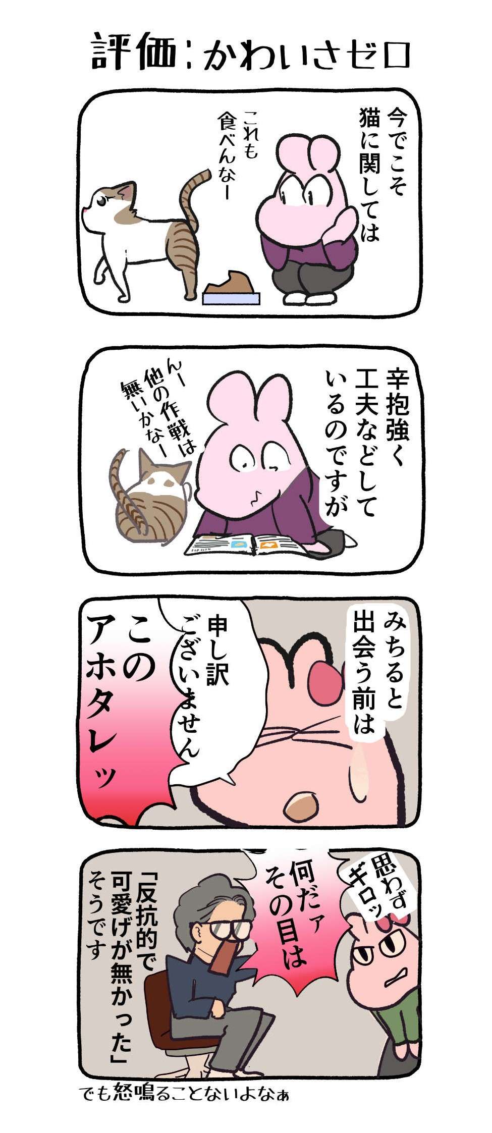 『ねこと家族になる100の準備』／はまかぜこんぶ 005.jpg