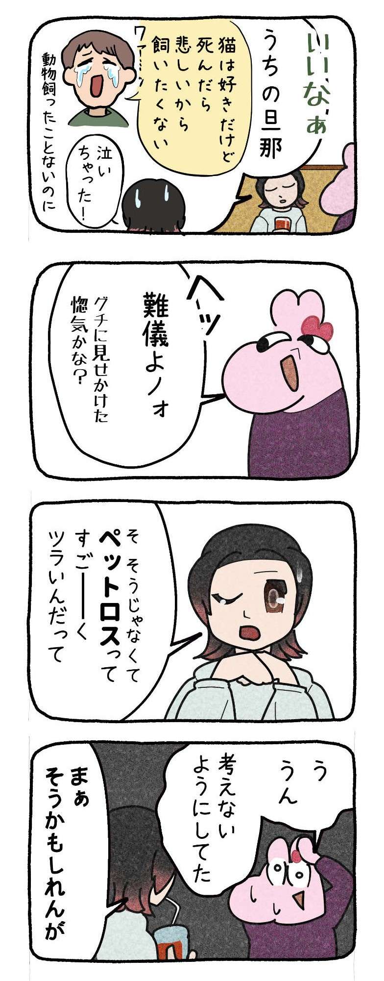 『ねこと家族になる100の準備』／はまかぜこんぶ 018.jpg