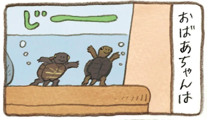 背中にかめの視線を感じたおばあちゃん。その理由はおじいちゃんにあった!?／おばあちゃんとかめ