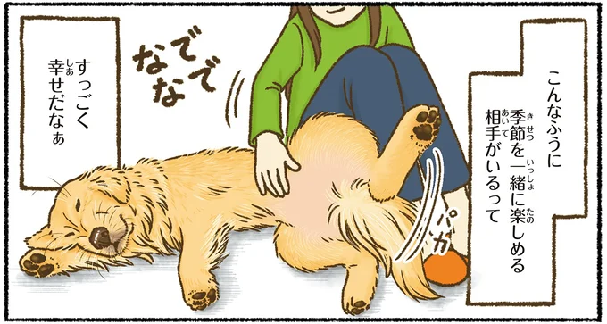 愛犬を一緒に季節を楽しむ。レトリバーが絵になる瞬間は／今日もゴールデンレトリバーに癒されて 15712403.webp
