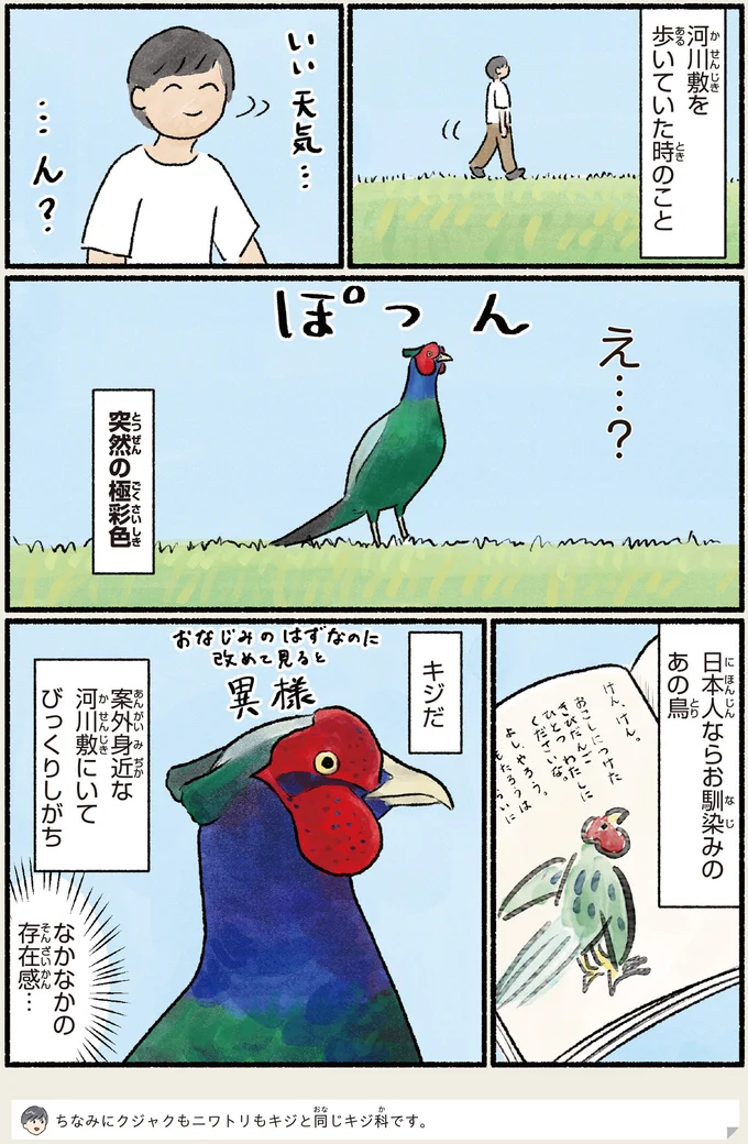 『意外と知らない鳥の生活 1〜2』 471.webp