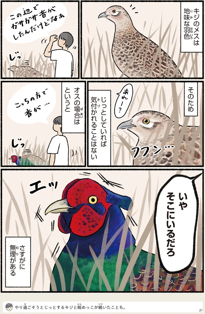 『意外と知らない鳥の生活 1〜2』 472.webp