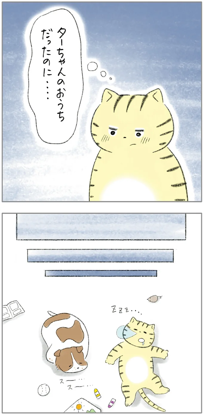 『ターとアグのしあわせ日和 元ノラ猫と元保護犬、ふたりは親友』 08-09.png