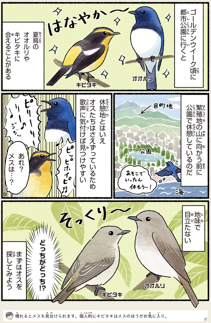 『意外と知らない鳥の生活 1〜2』 481.webp