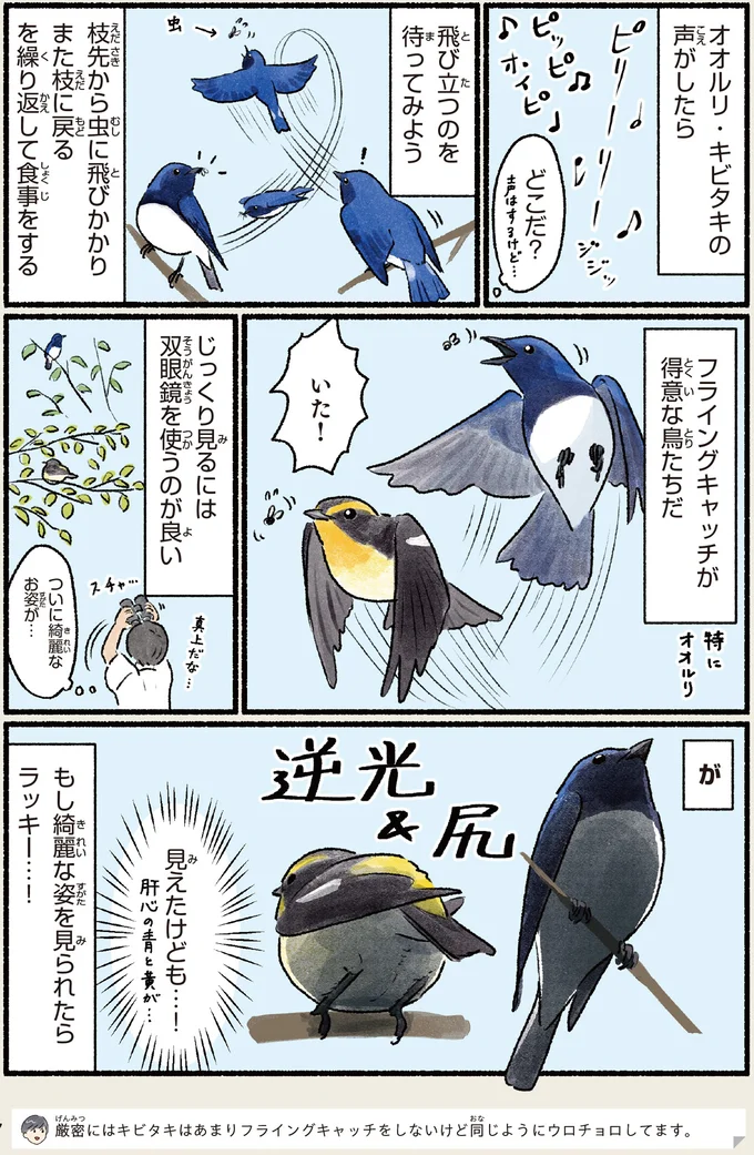 『意外と知らない鳥の生活 1〜2』 482.webp