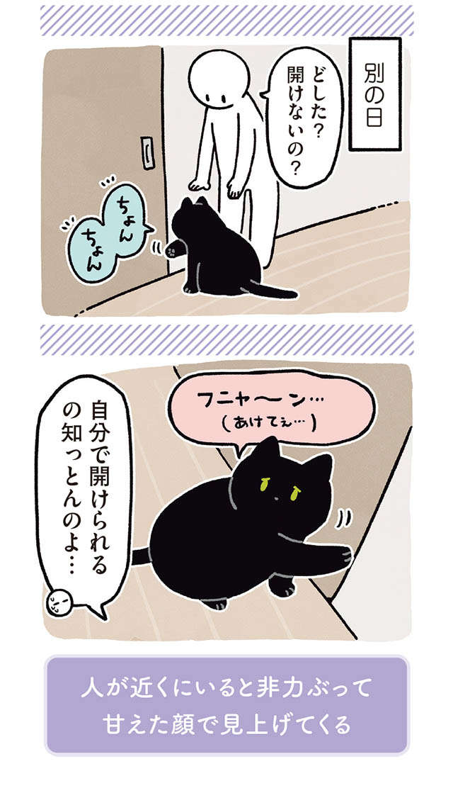 フニャ～ン...猫が「甘えた顔」で見上げてくる。でも飼い主は知っていて...／黒猫ろんと暮らしたら 11.jpg