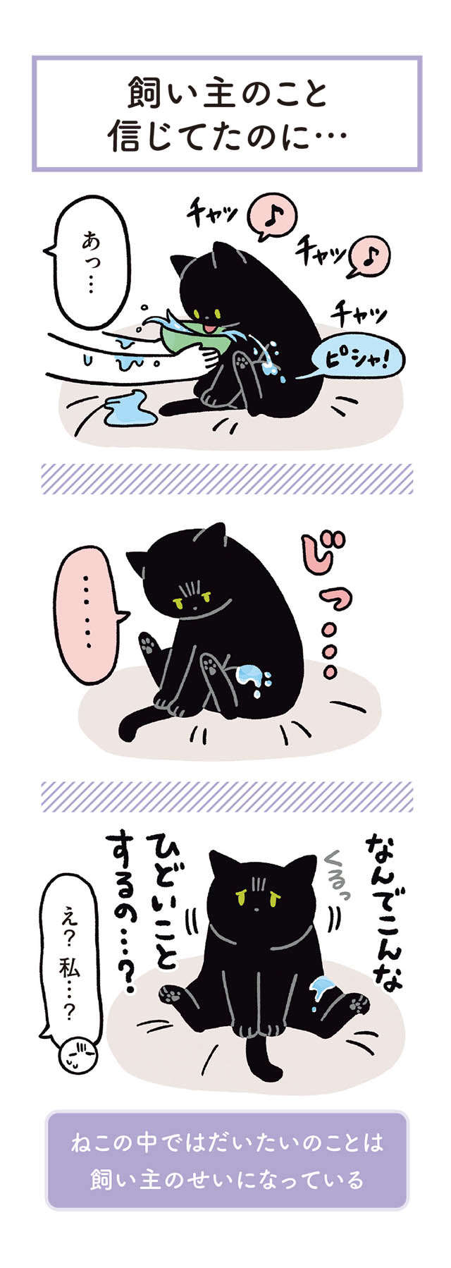 猫にとって「だいたいのことは飼い主のせい」...？ えっ、完全にそれは...！／黒猫ろんと暮らしたら 13.jpg