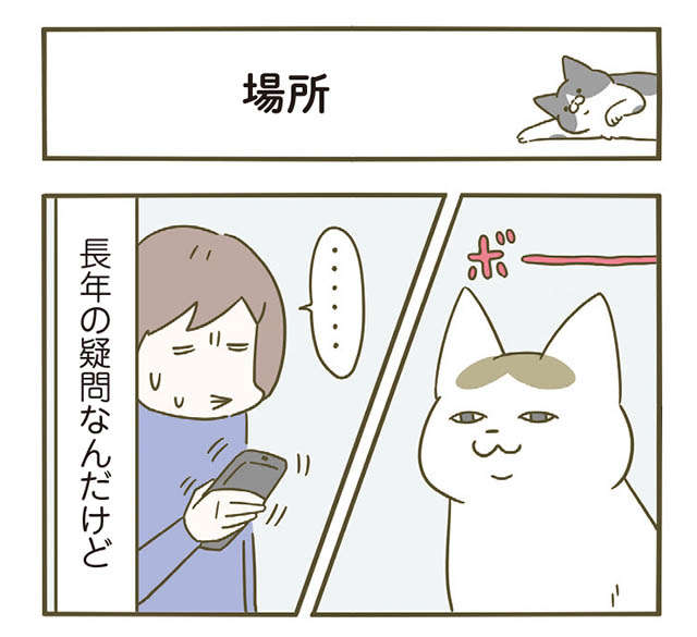 なぜ猫は「居られると困る」場所でくつろぐのか。よりによってそこ!?／うちの猫がまた変なことしてる。5 1.jpg