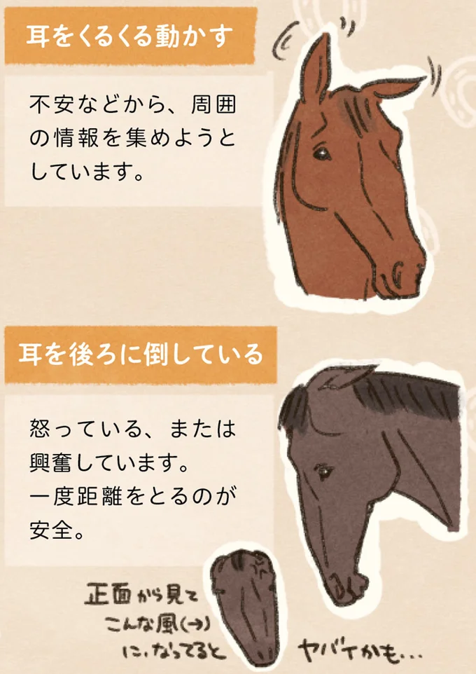 ドッキドキの乗馬初レッスン。指示通り歩かせようとしたら...あれ⁉／馬に乗らずにいられない！ 04-11.png