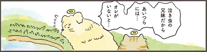「泣き虫の兄妹には、オレがいないと」天国にいる犬は飼い主のピンチに.../天国での暮らしはどうですか
